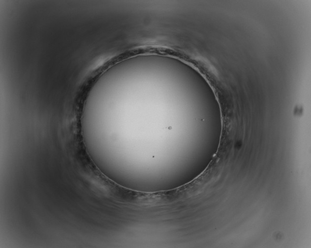 X0000103261159200809051436