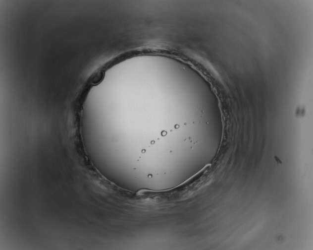 X0000103261160200809051436