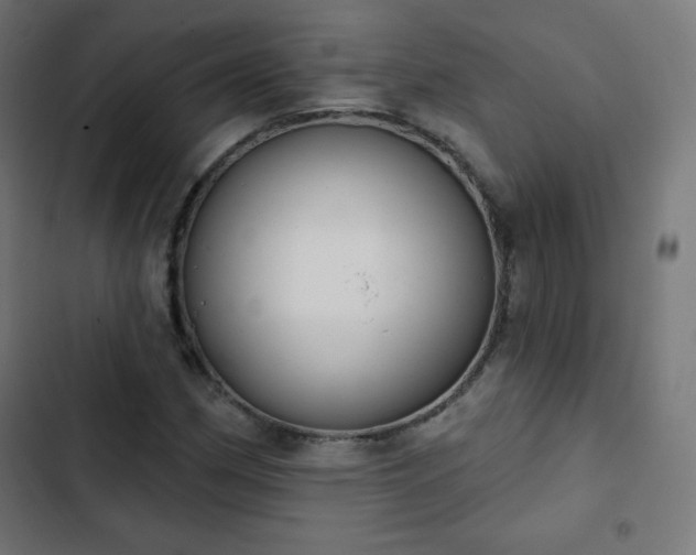 X0000103261162200809051436