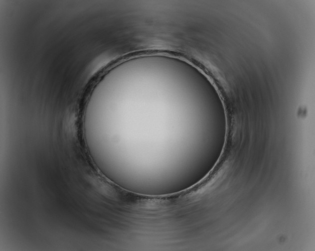 X0000103261163200809051436