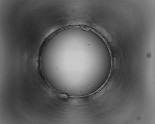 X0000103261165200809051436