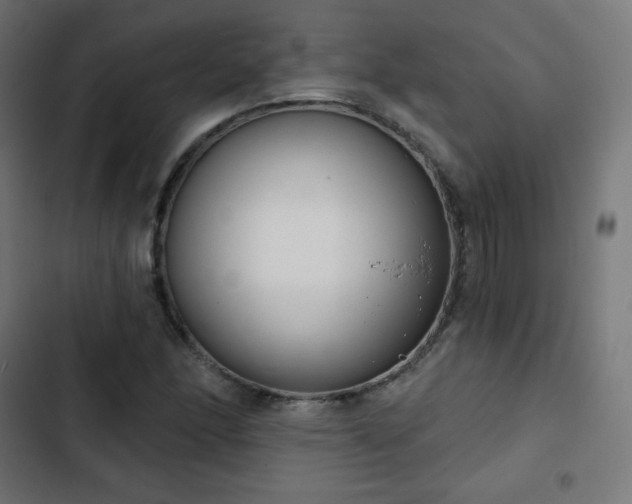 X0000103261166200809051436