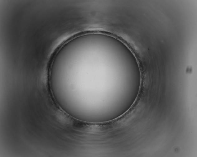 X0000103261167200809051436