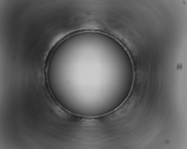 X0000103261168200809051436