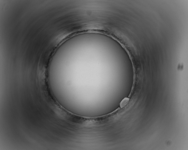 X0000103261169200809051436