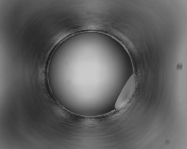 X0000103261170200809051436