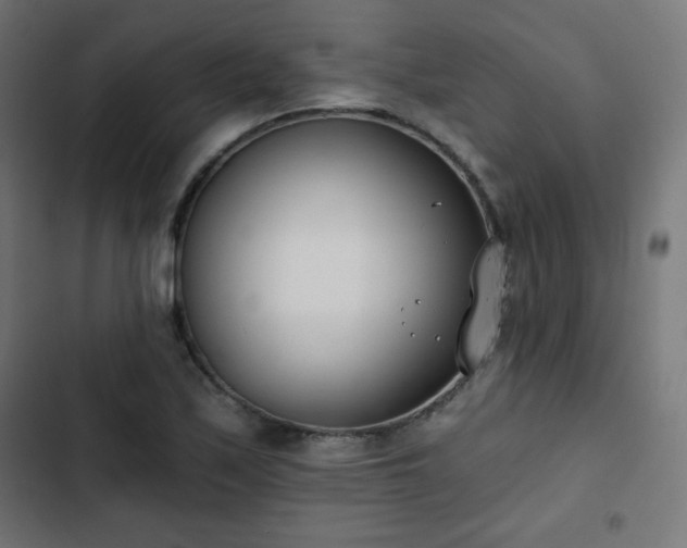 X0000103261171200809051436