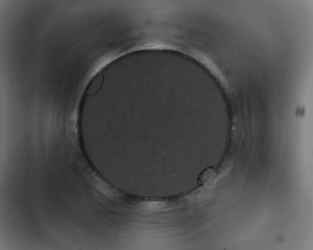 X0000103261173200809051436