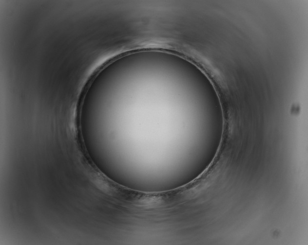 X0000103261174200809051436