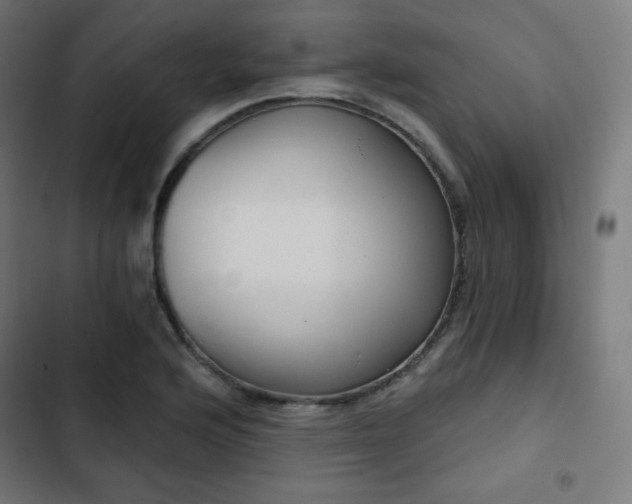 X0000103261176200809051436