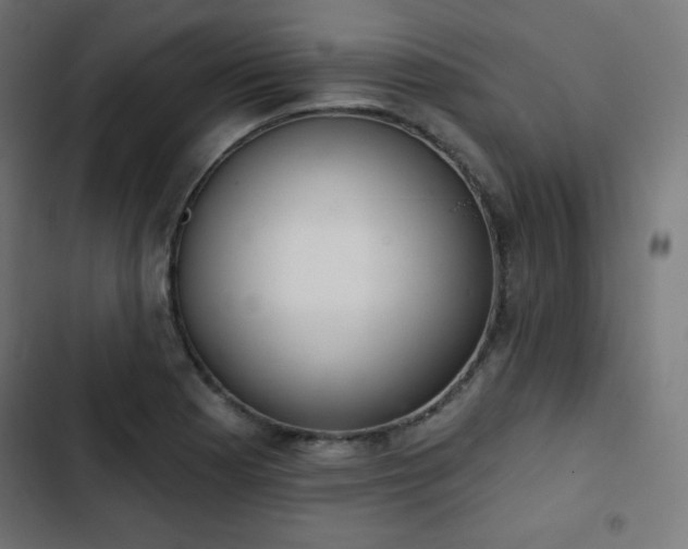 X0000103261177200809051436