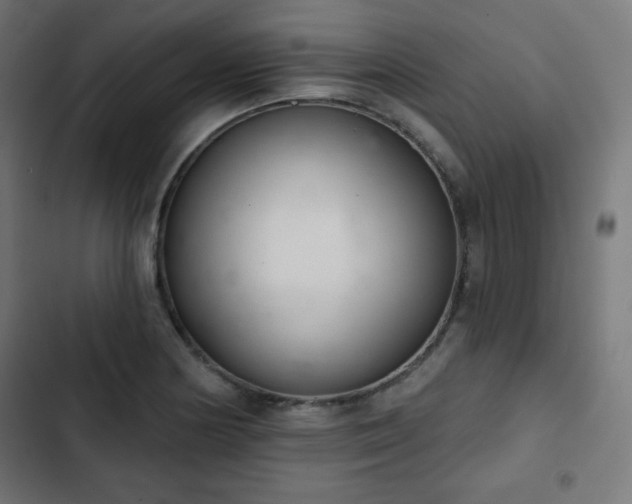 X0000103261178200809051436