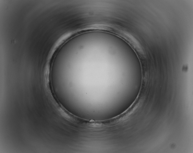 X0000103261180200809051436