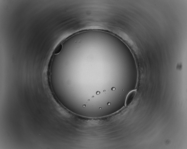 X0000103261181200809051436