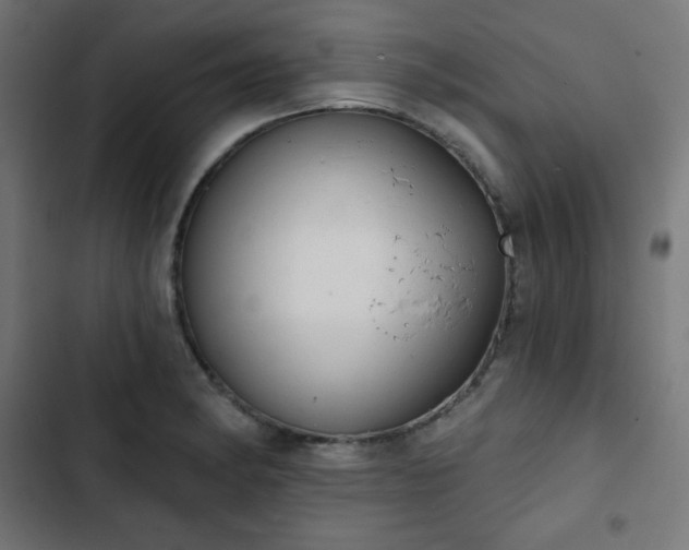 X0000103261182200809051436