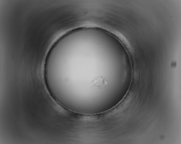 X0000103261183200809051436