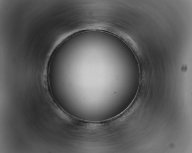 X0000103261184200809051436