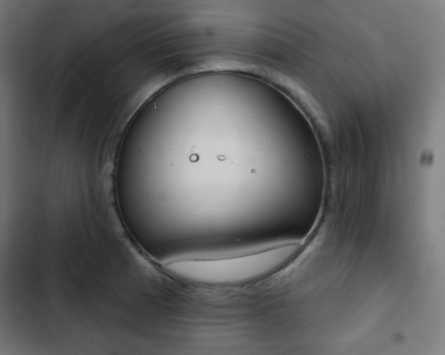 X0000103261185200809051436