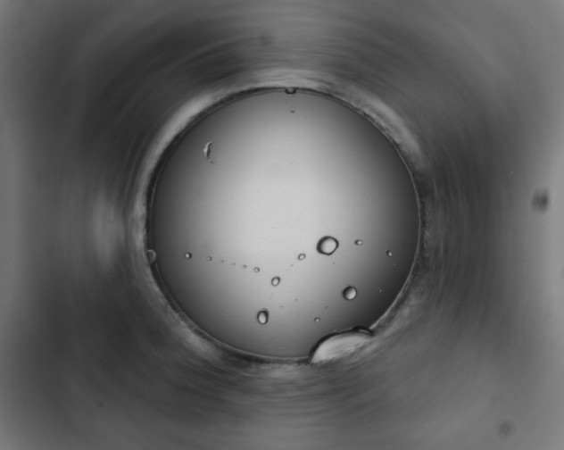 X0000103261188200809051436