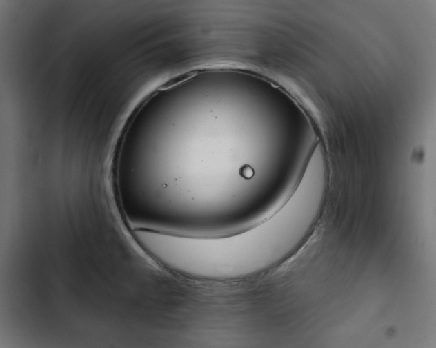 X0000103261189200809051436