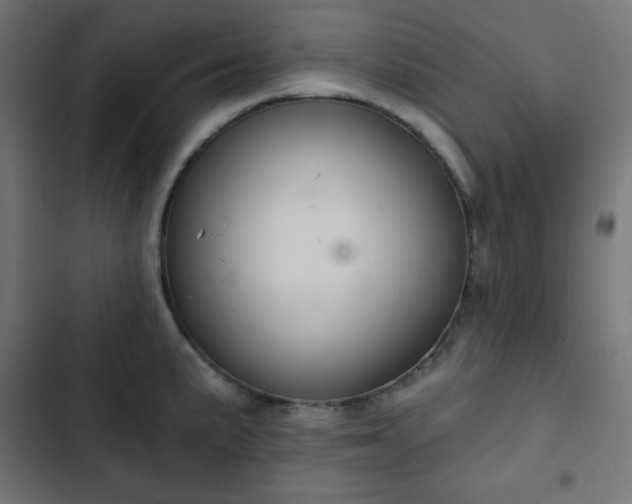 X0000103261191200809051436