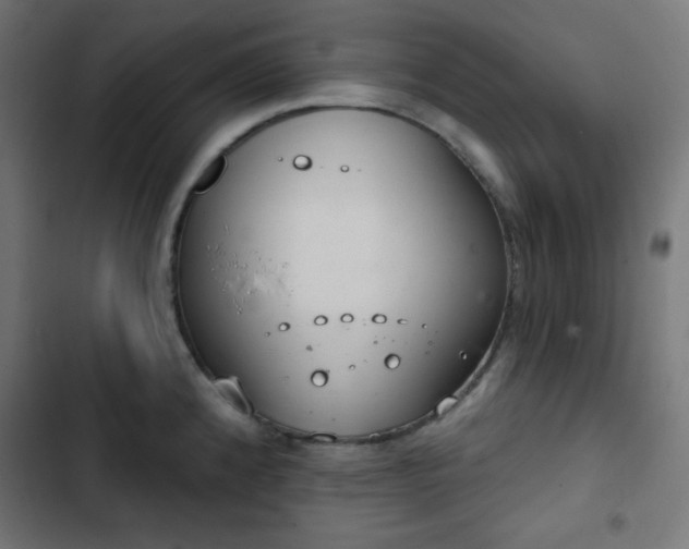 X0000103261192200809051436