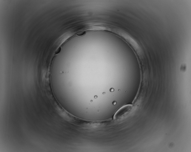 X0000103261193200809051436