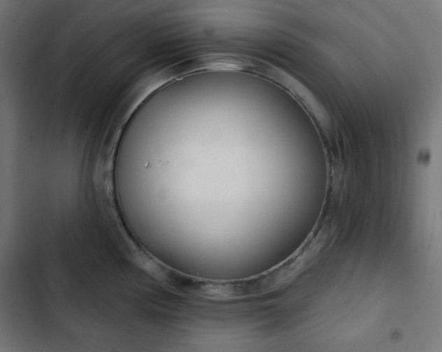 X0000103261194200809051436