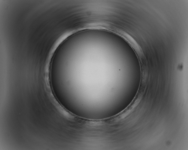 X0000103261196200809051436