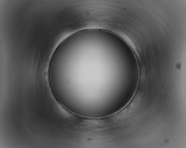 X0000103261197200809051436