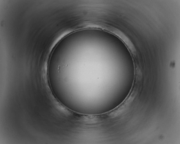 X0000103261198200809051436