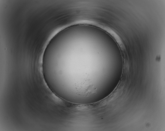 X0000103261199200809051436