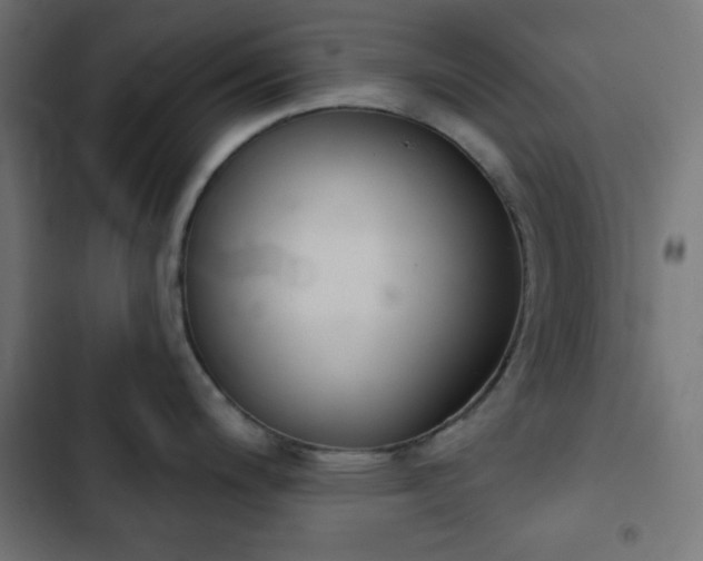 X0000103261200200809051436