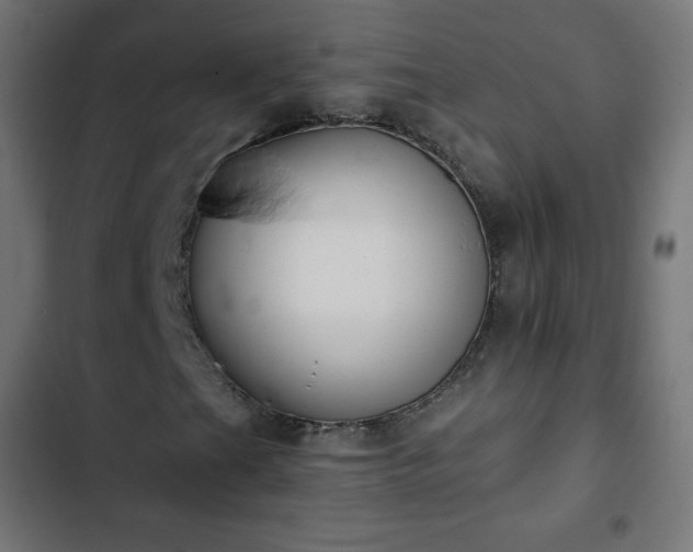 X0000103261201200809051435