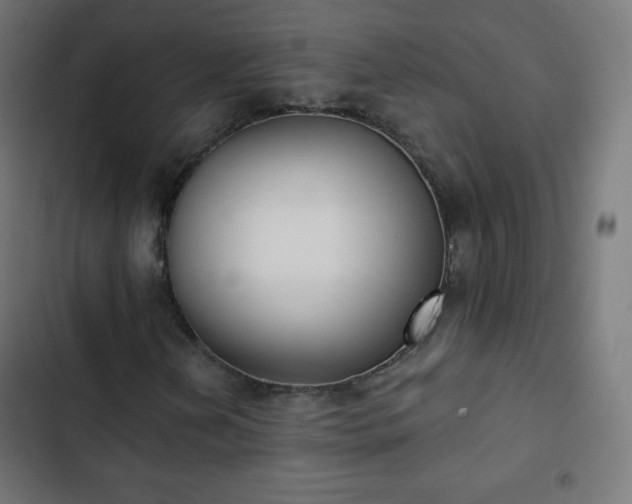 X0000103261202200809051435