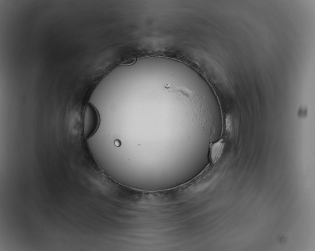 X0000103261203200809051435