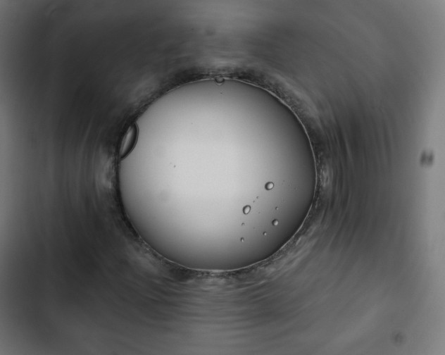 X0000103261204200809051435