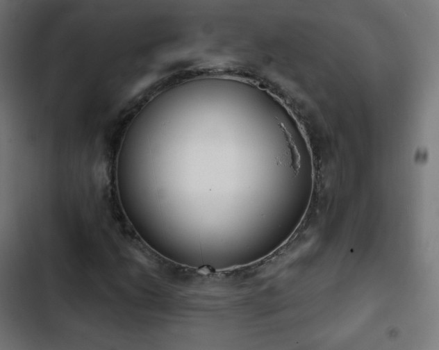 X0000103261206200809051435