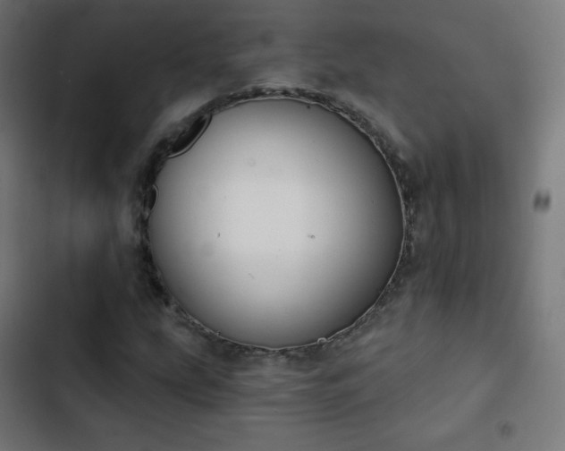 X0000103261207200809051435