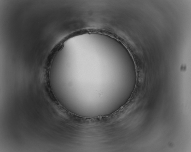 X0000103261208200809051435