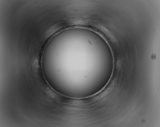 X0000103261209200809051435