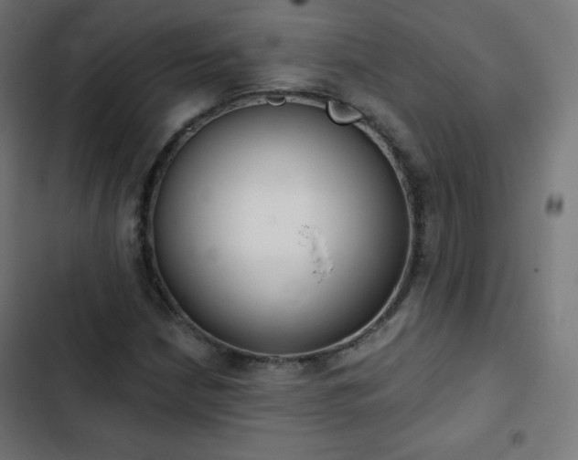 X0000103261210200809051435