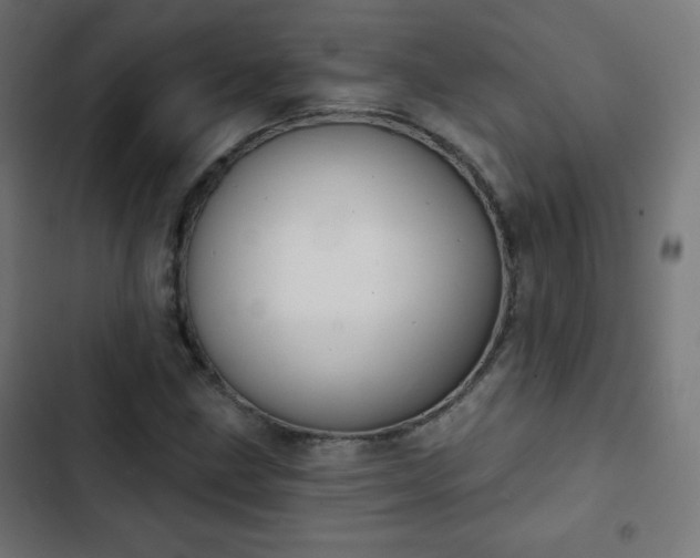 X0000103261211200809051435