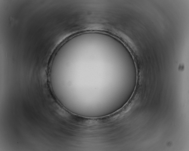 X0000103261212200809051435