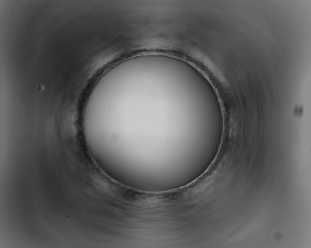 X0000103261213200809051435