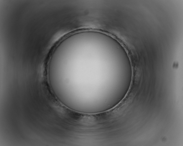 X0000103261215200809051435