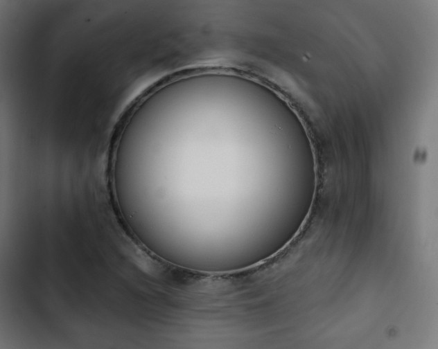 X0000103261216200809051435