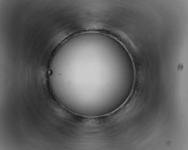 X0000103261217200809051435