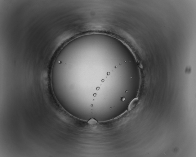 X0000103261218200809051435