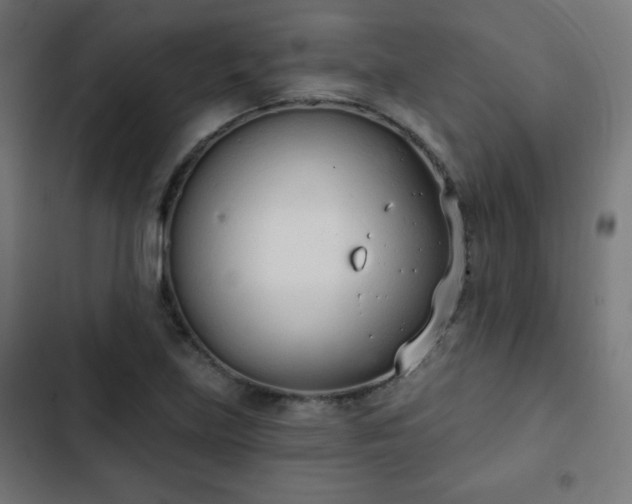 X0000103261219200809051435